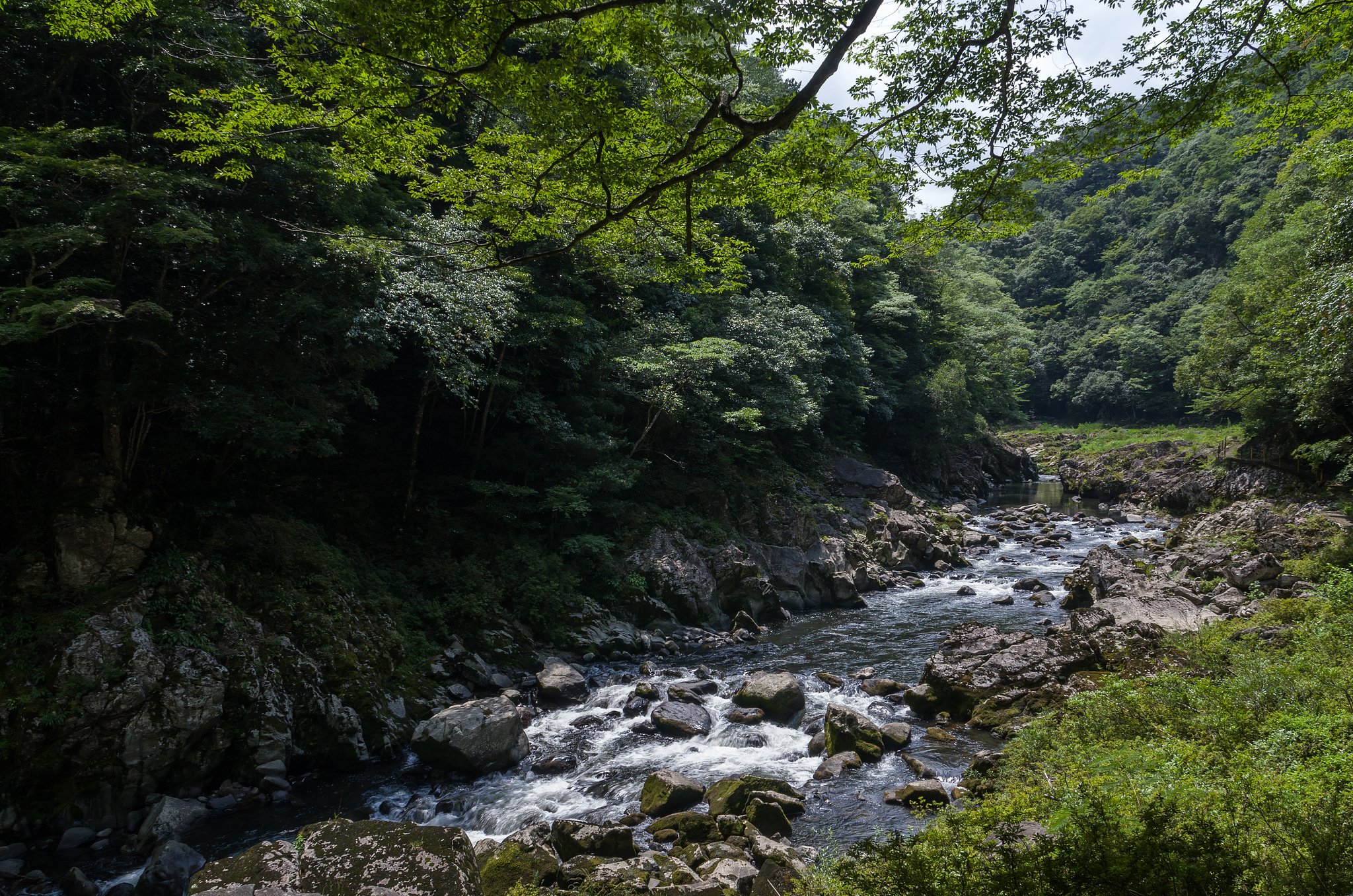 SIGMA 17-70mm F2.8-4 DC MACRO 
