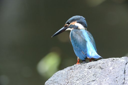 待ちくたびれたよ～