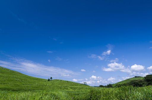SIGMA 17-70mm F2.8-4 DC MACRO 