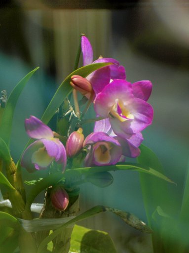 Kenko Mirror Lens 500㎜　F 1/6.3