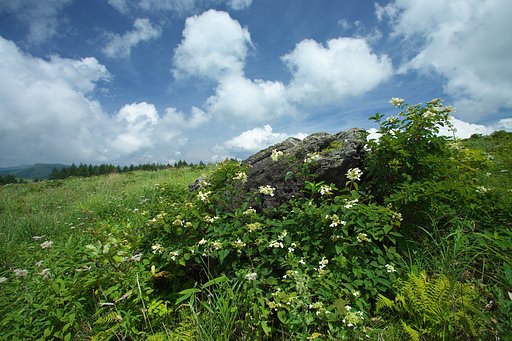 8月18日の写真