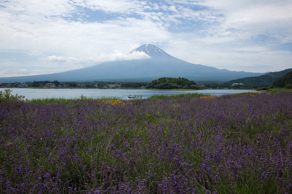 EF24-105mm F4 L IS USM