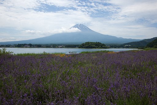 EF24-105mm F4 L IS USM