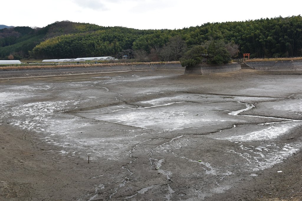 冬の溜池