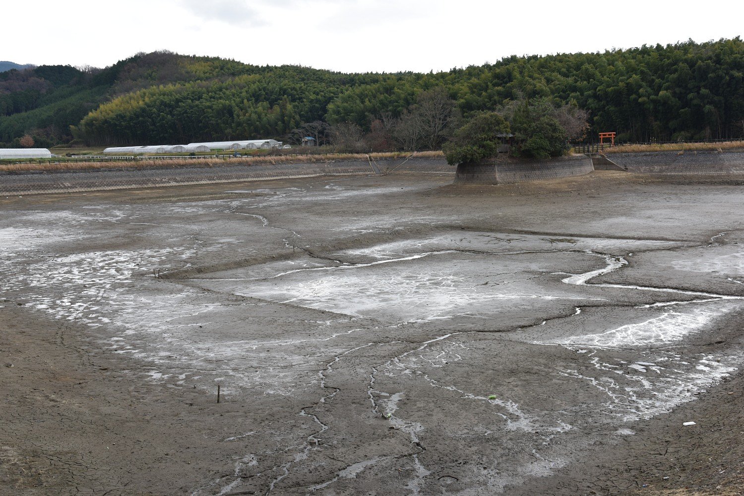 冬の溜池