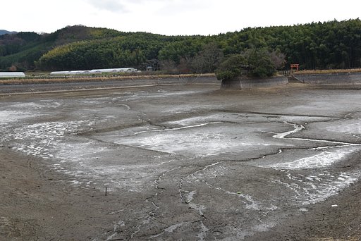 冬の溜池