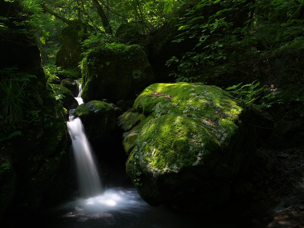 FA645 45-85 F4.5