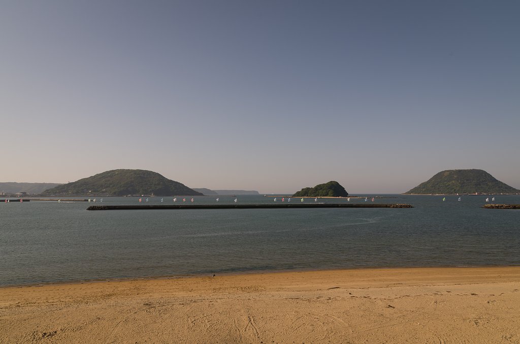 帰港