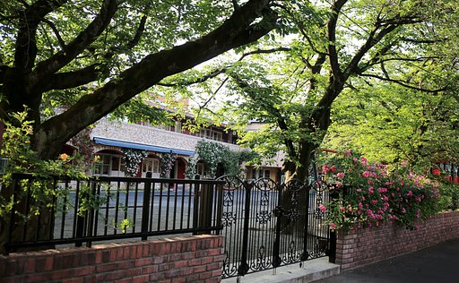 薔薇の幼稚園（その２）