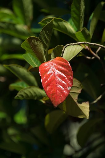 TAMRON 28-300mm F3.5-6.3 VC