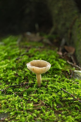 TAMRON 28-300mm F3.5-6.3 VC