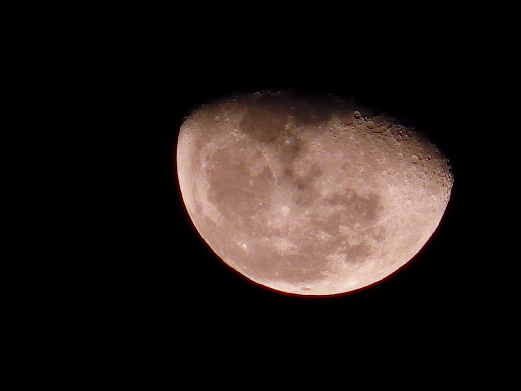 今夜はオレンジ色