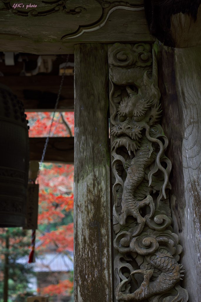 Otus 55mm F1.4 ZF2