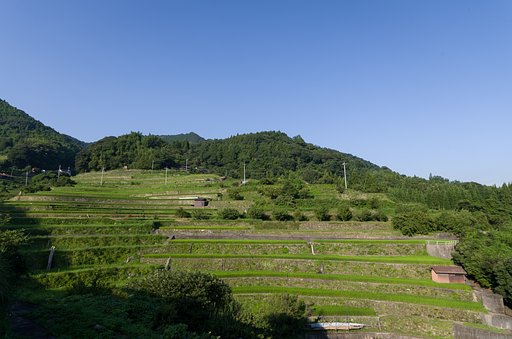 山影