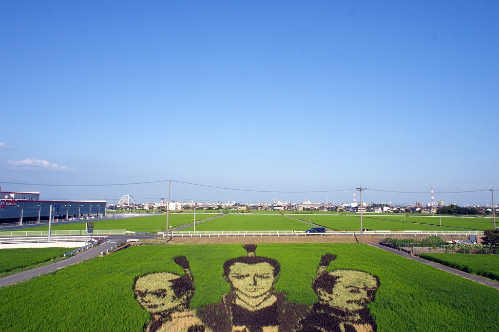 【暑】夏の日の田んぼアート