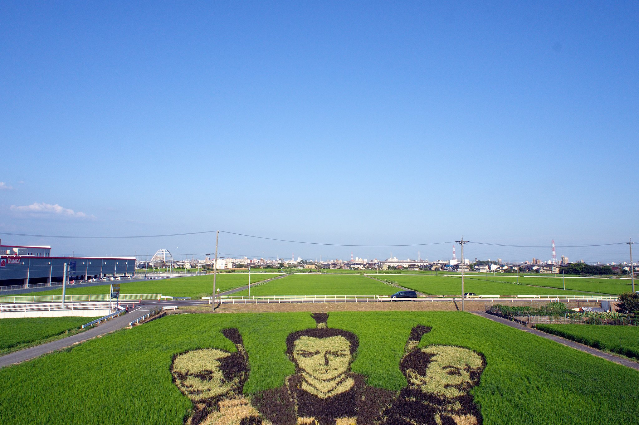 【暑】夏の日の田んぼアート