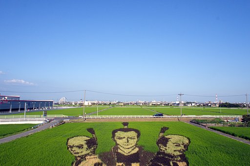 【暑】夏の日の田んぼアート