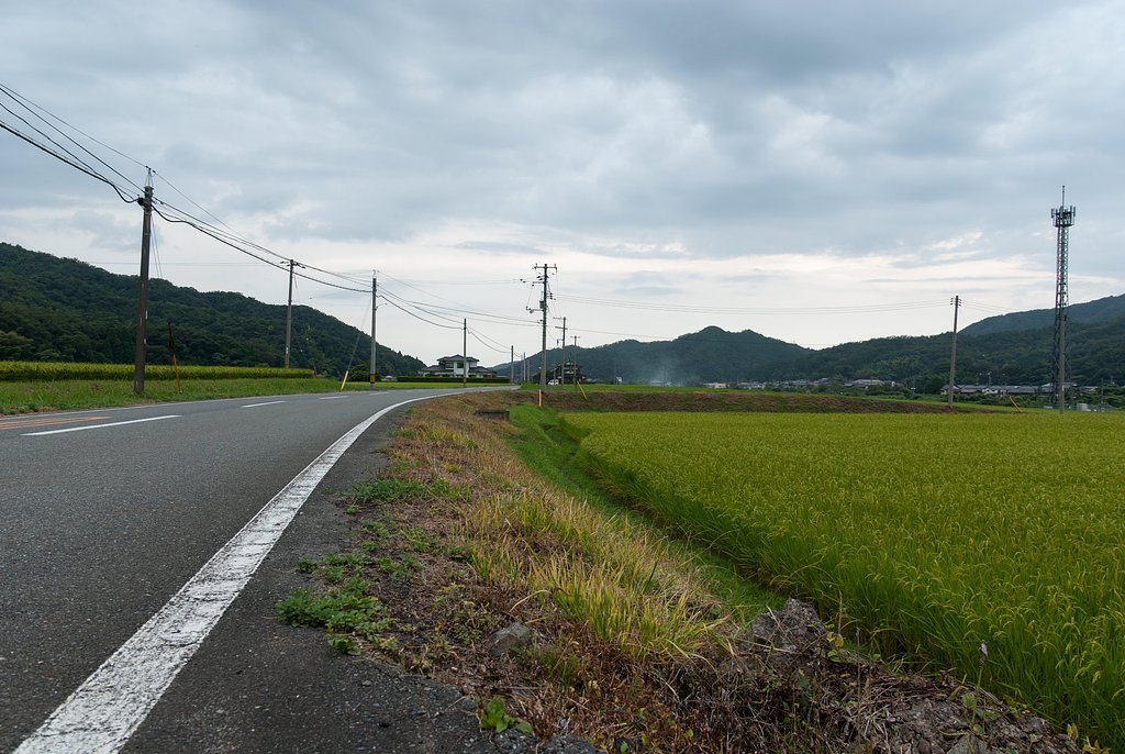 今日の夕空。