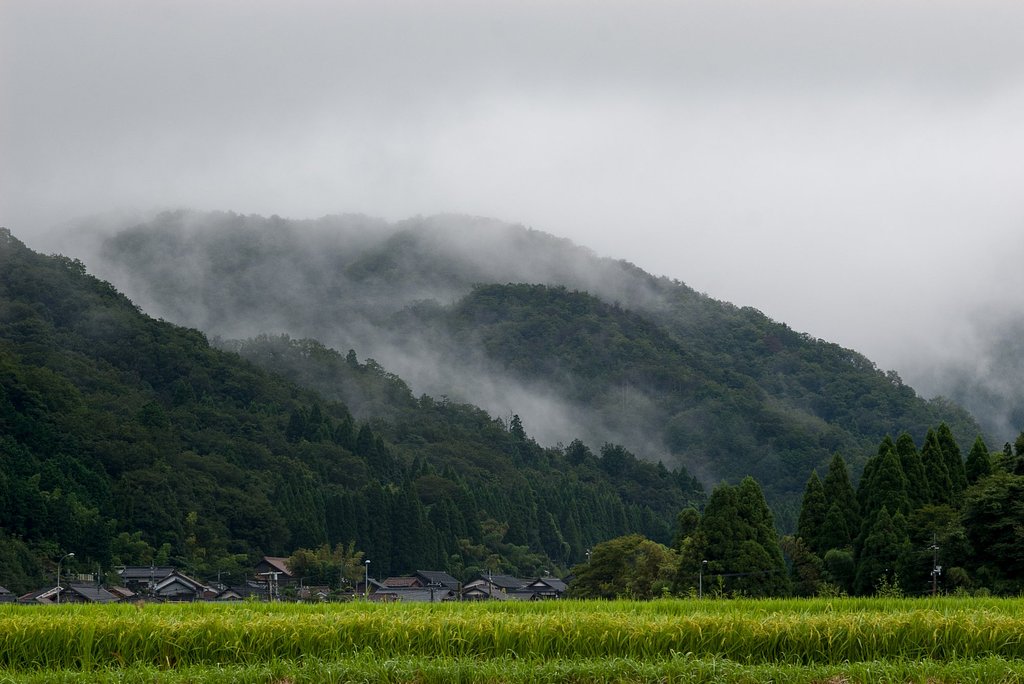 小雨降りの朝!