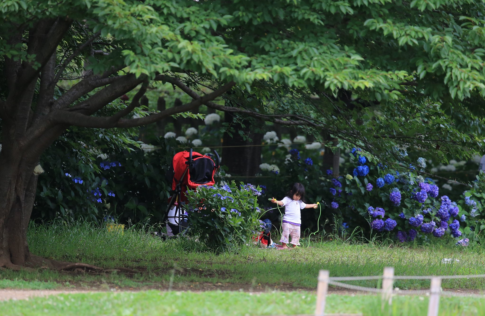 縄跳び