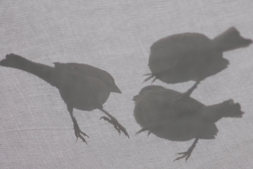 【広がり】ないしょの話