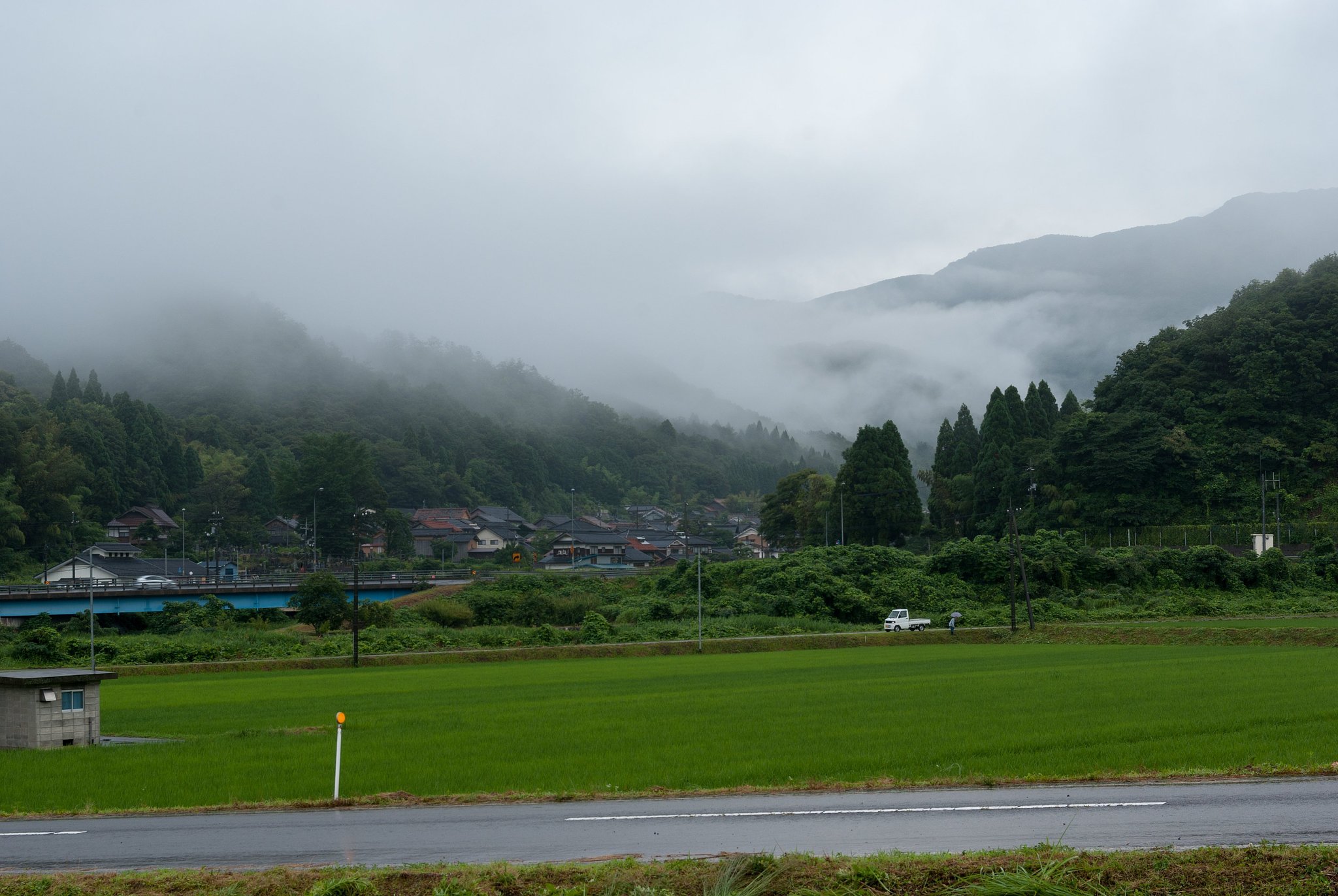 雨降りの日!