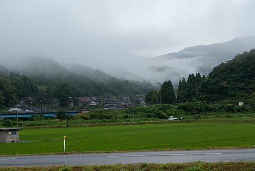 雨降りの日!