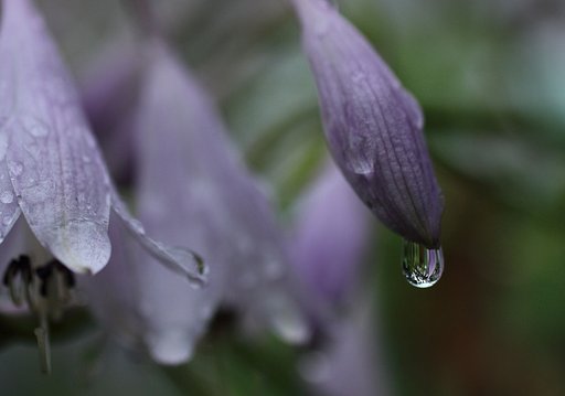 梅雨空