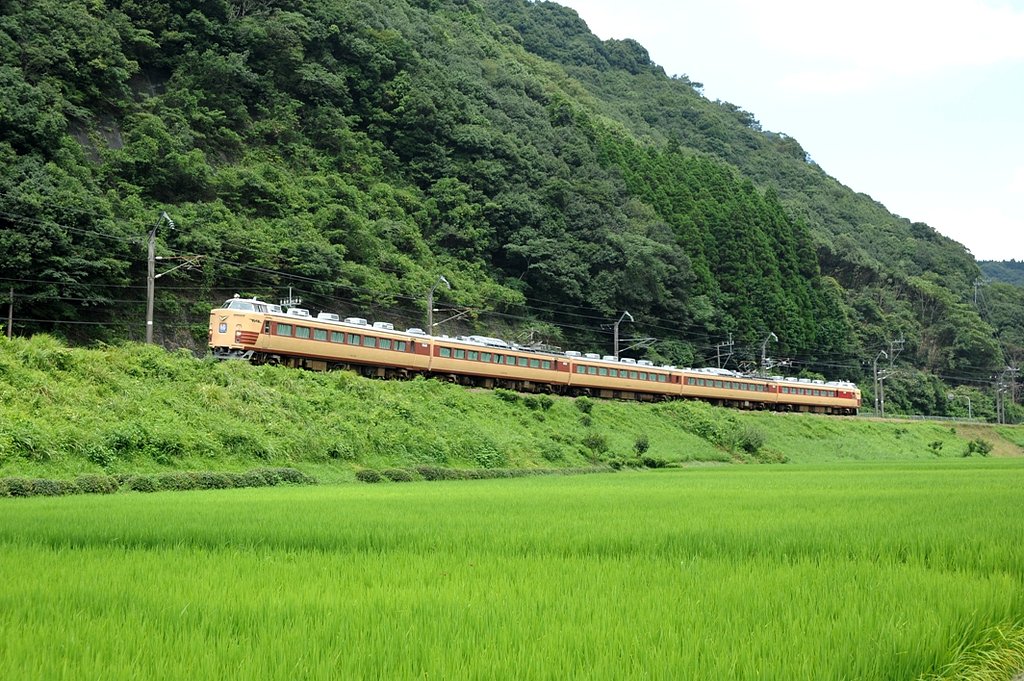 田園を行く　485国鉄色