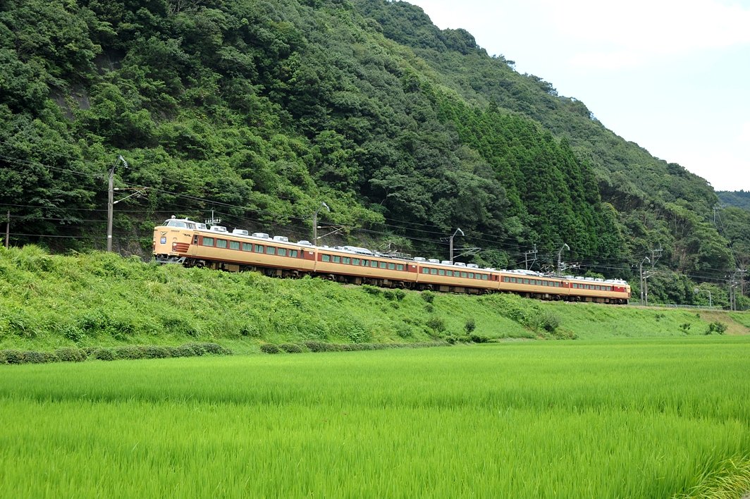 田園を行く　485国鉄色