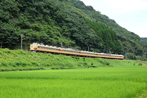 田園を行く　485国鉄色
