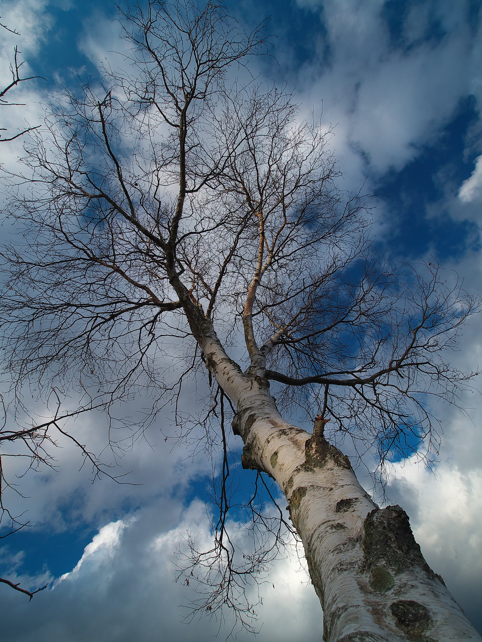 ZD 9-18 F2.8-5.6