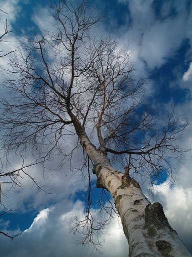 ZD 9-18 F2.8-5.6