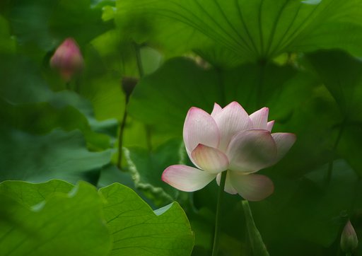 【暑】も峠を越え