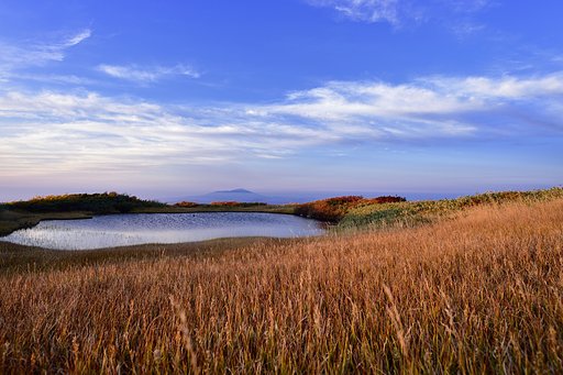 秋の月山弥陀ヶ原湿原