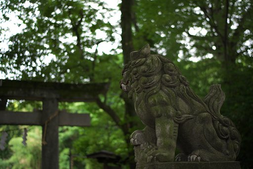 Distagon FE35mm F1.4 ZA