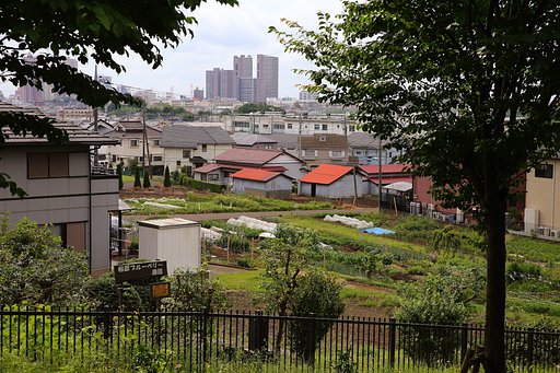 とりあえず撮った近所の景色