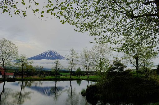 東農大富士農場より
