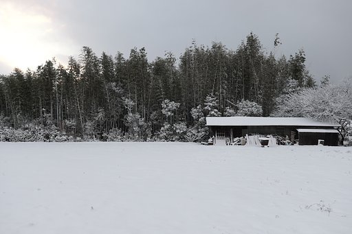 Fuji XF 16-55