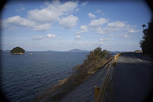 1月14日の写真