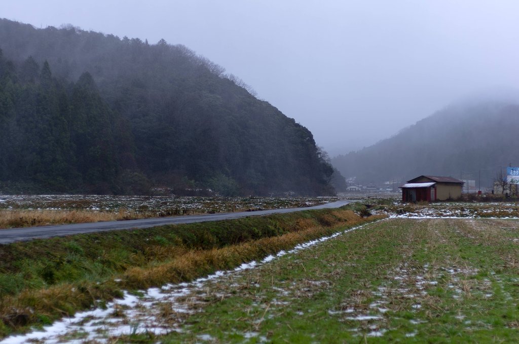 ミゾレっぽい吹雪！