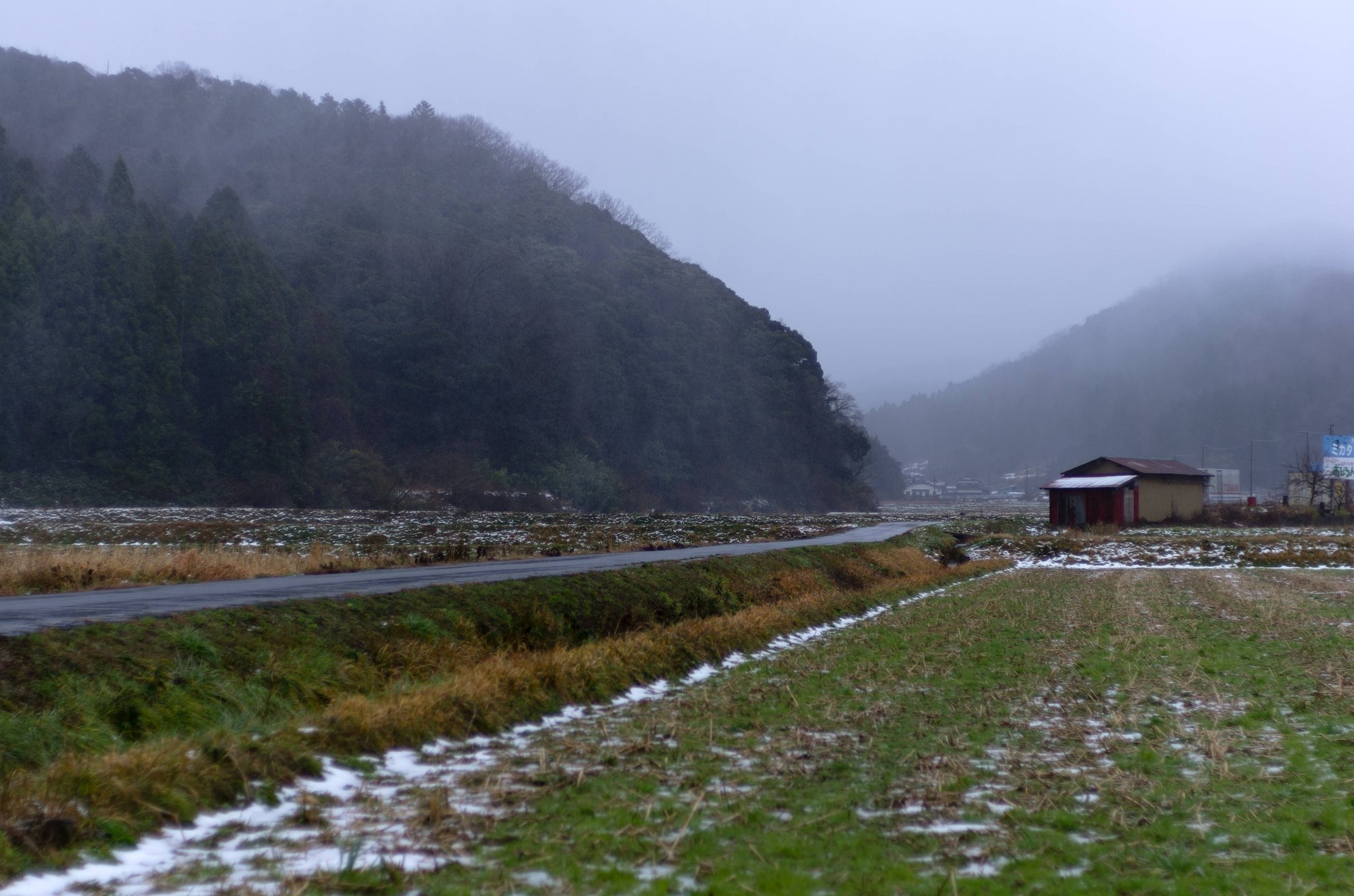 ミゾレっぽい吹雪！