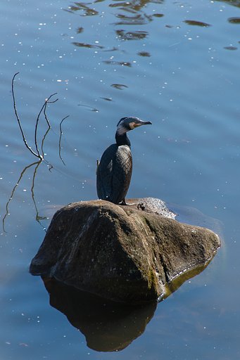 TAMRON 28-300mm F3.5-6.3 VC