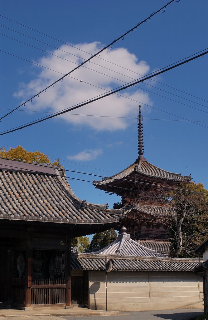 AI Nikkor 28mmF2.8S 