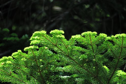 夏の光を受けて