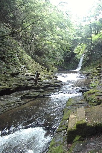 この写真のExif情報がPhotoXPに表示されません。