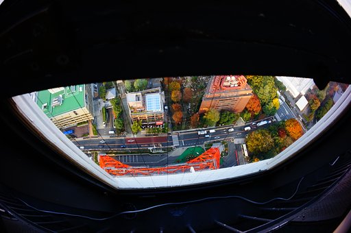 11月26日の写真