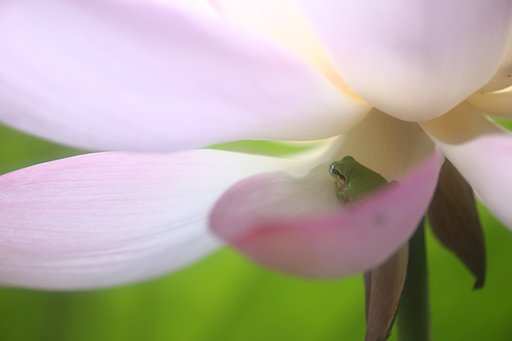 ここ日陰だよ♪