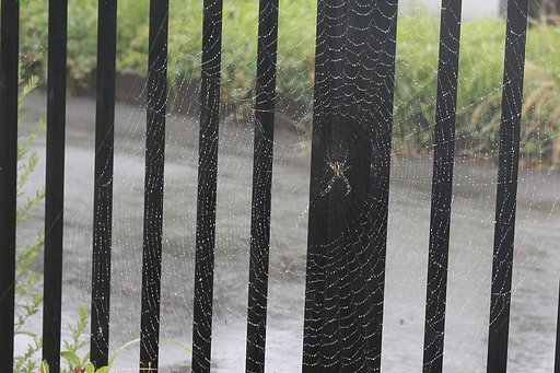 【広がり】目いっぱい雨
