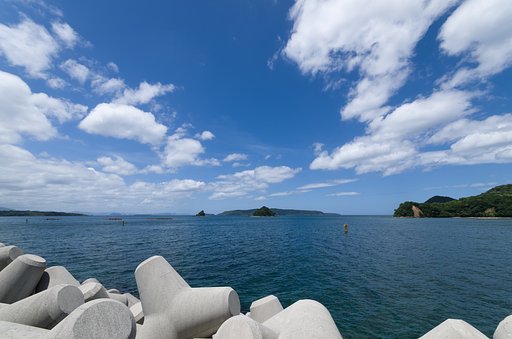 SIGMA 10-20mm F4-5.6 